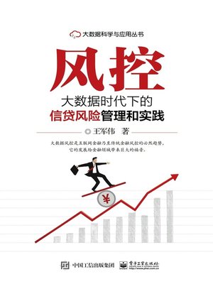 风控 - ebook